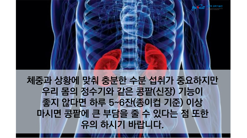 여름철 건강을 위한 올바른 수분 섭취 방법 관련사진 9