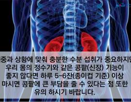 여름철 건강을 위한 올바른 수분 섭취 방법 관련사진 9 보기