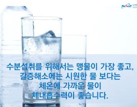 여름철 건강을 위한 올바른 수분 섭취 방법 관련사진 8 보기