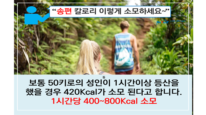 행복한 풍요로운 추석 음식별 칼로리 소모 TIP 관련사진 4