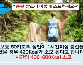 행복한 풍요로운 추석 음식별 칼로리 소모 TIP 관련사진 4 보기