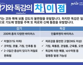 감기와 독감 차이점에 대해 알고 계신가요?  관련사진 4 보기