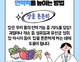 일상 속 면역력 높이기 관련사진 4 보기