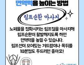 일상 속 면역력 높이기 관련사진 7 보기