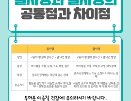 <무더운 여름철, 일사병과 열사병의 차이> 관련사진 6 보기