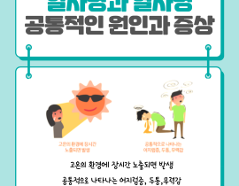 <무더운 여름철, 일사병과 열사병의 차이> 관련사진 3 보기