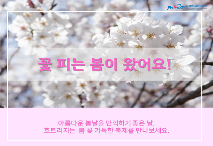 봄 내음 가득 2019년 전국 봄꽃 축제 관련사진 2