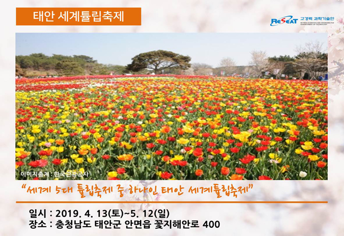 봄 내음 가득 2019년 전국 봄꽃 축제 관련사진 8