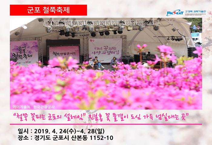 봄 내음 가득 2019년 전국 봄꽃 축제 관련사진 9