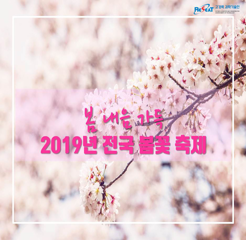 봄 내음 가득 2019년 전국 봄꽃 축제 관련사진 1