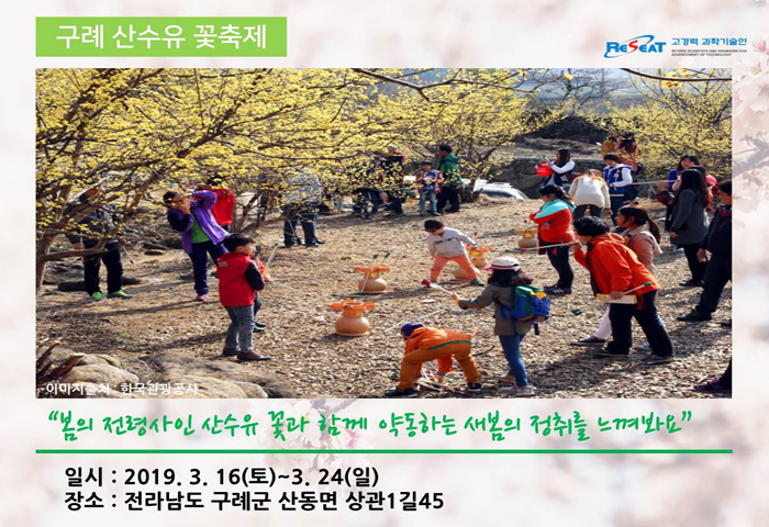 봄 내음 가득 2019년 전국 봄꽃 축제 관련사진 4