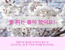 봄 내음 가득 2019년 전국 봄꽃 축제 관련사진 2 보기