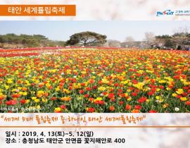 봄 내음 가득 2019년 전국 봄꽃 축제 관련사진 8 보기