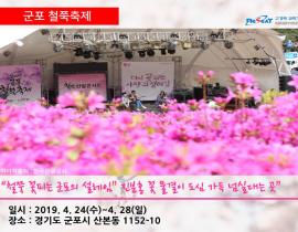 봄 내음 가득 2019년 전국 봄꽃 축제 관련사진 9 보기