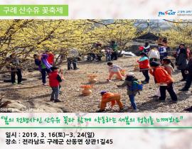 봄 내음 가득 2019년 전국 봄꽃 축제 관련사진 4 보기