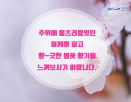 봄 내음 가득 2019년 전국 봄꽃 축제 관련사진 10 보기