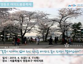 봄 내음 가득 2019년 전국 봄꽃 축제 관련사진 7 보기